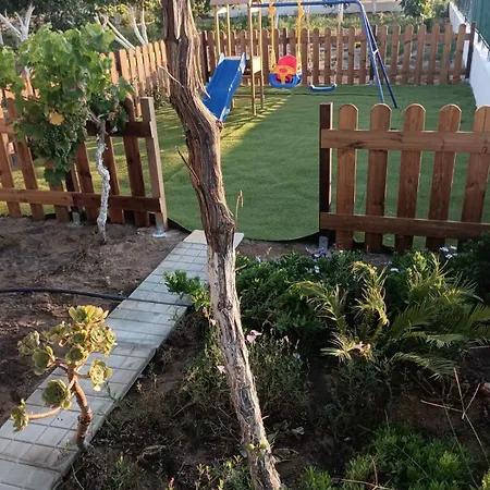 Vasiliki's Dhimitra (Elis)