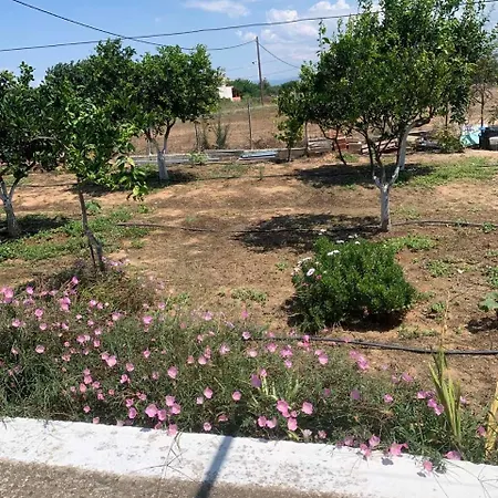 Vasiliki's Apartment