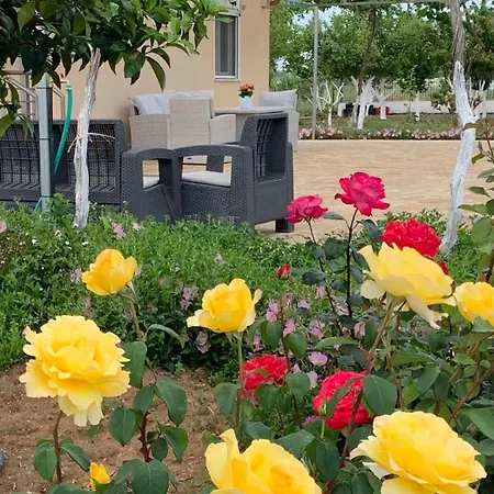 Apartment Vasiliki's *