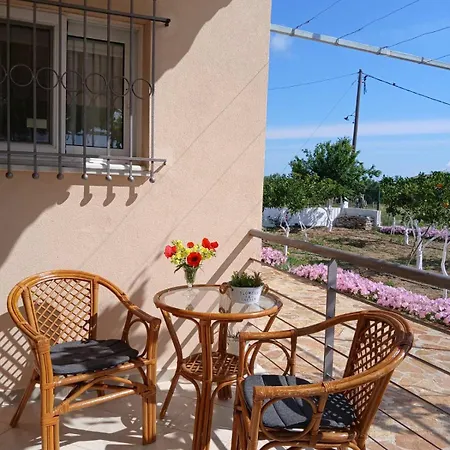 Vasiliki's Dhimitra (Elis)