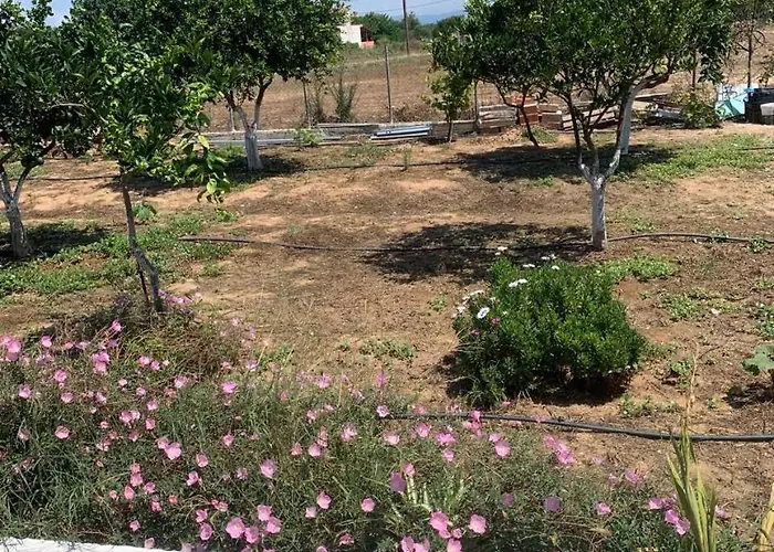 Vasiliki's Apartment