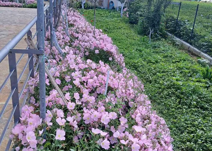 Apartment Vasiliki's Dhimitra (Elis)