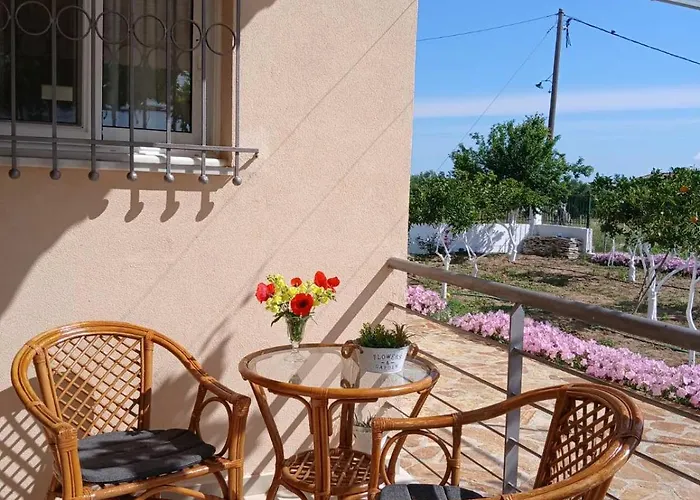 Vasiliki's Dhimitra (Elis)